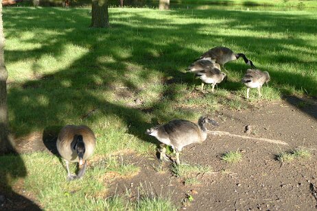 20160528_184920 null