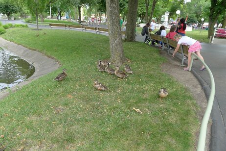 20160704_170434 null