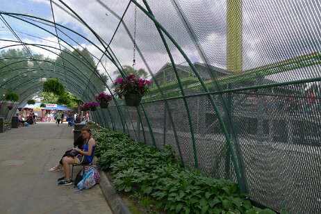 20160604_144454 null
