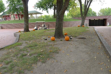 20161001_120739 null