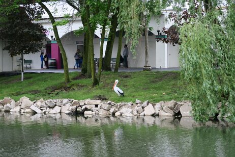 20170520_124113 null