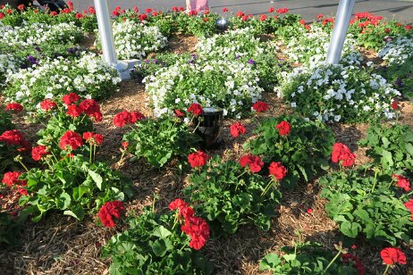 20170528_181655 null