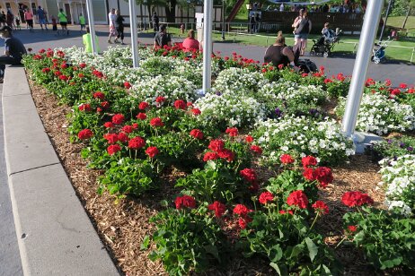 20170528_181700 null