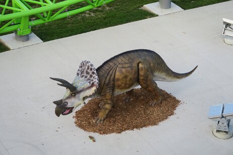 20170620_191428 null