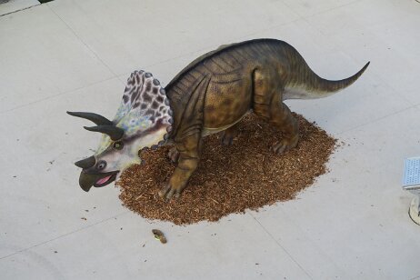 20170620_191430 null