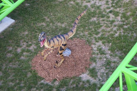 20170620_191441 null