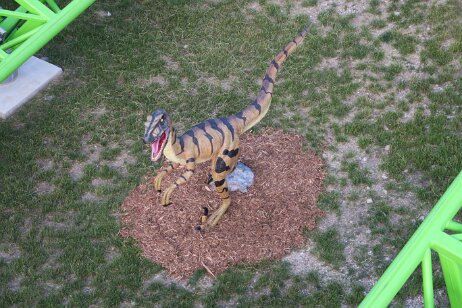 20170620_191442 null