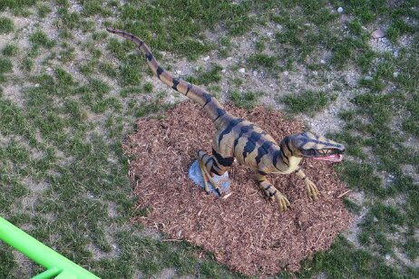 20170620_191453 null