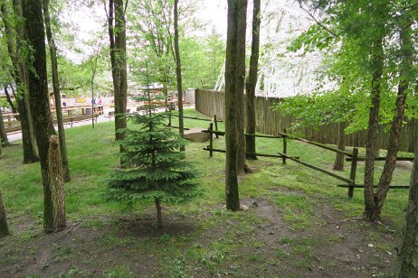 20170521_114511 null