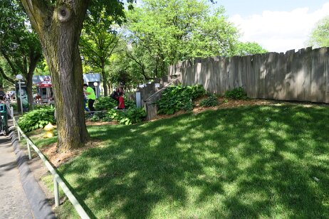 20170528_153059 null