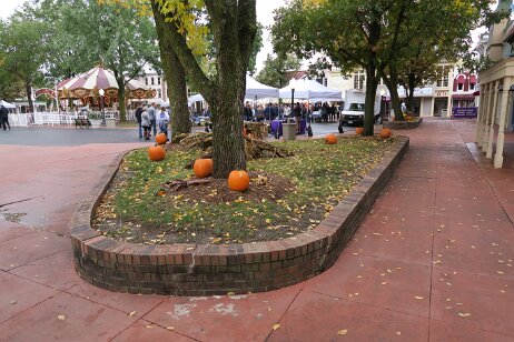 20181006_120449 null