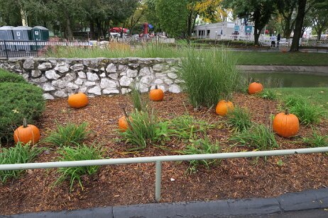 20181006_121954 null