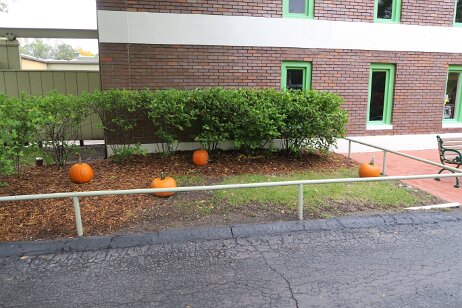 20181006_121959 null