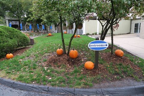 20181006_122008 null