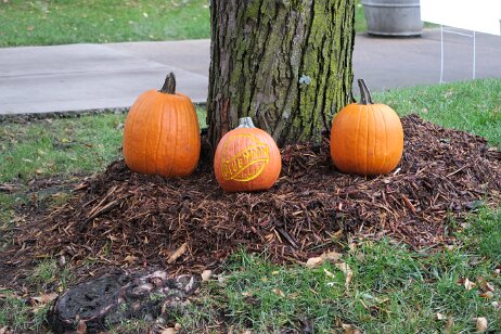 20181006_122026 null