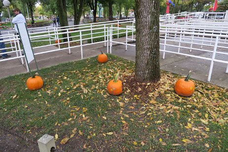 20181006_122043 null