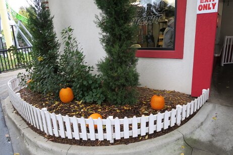 20181006_122351 null