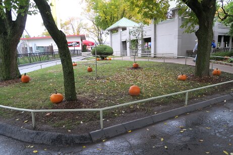 20181006_122442 null