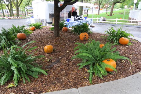 20181006_122535 null