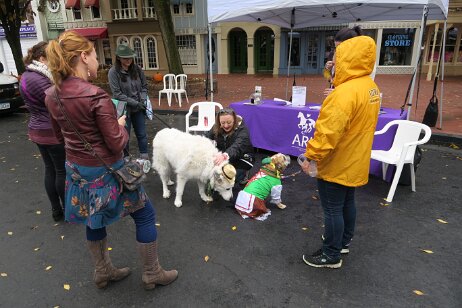 20181006_121133 null