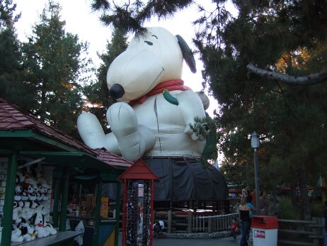 20081205_161151 null