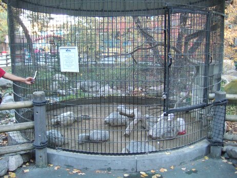 20081205_161256 null