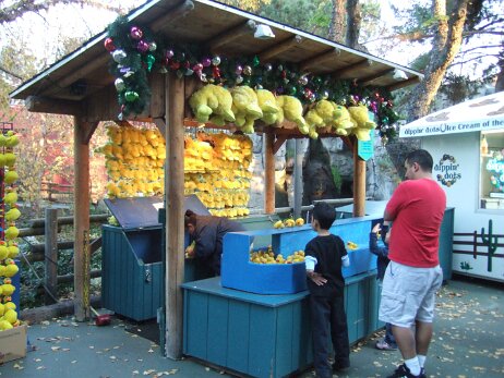 20081205_161310 null