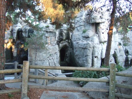 20081205_161335 null