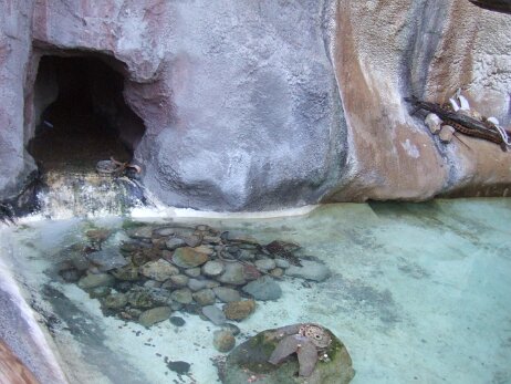 20081205_145622 null