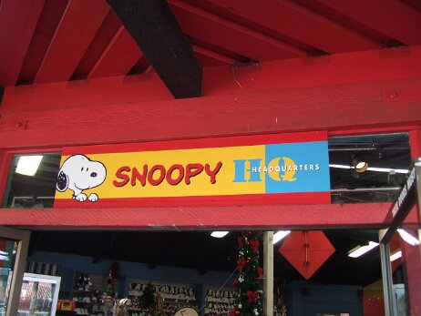 20081205_112537 null