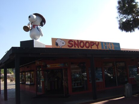 20081205_112600 null