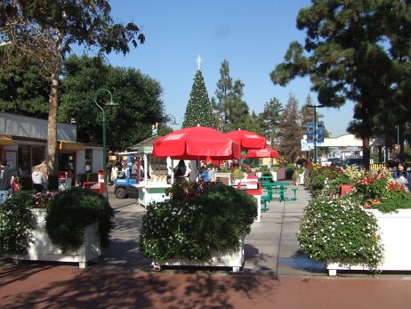 20081205_112741 null