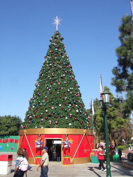 20081205_112819 null