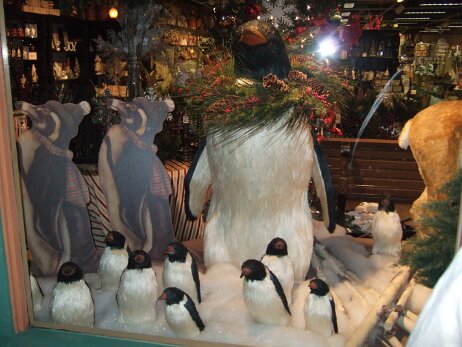 20081205_183114 null