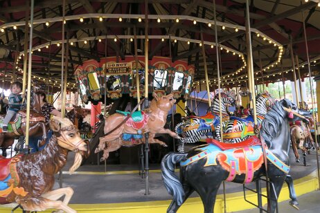 20170510_121136 null