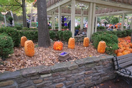 20241011_120207 null