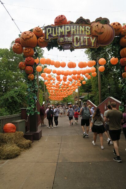 20241011_114803 null