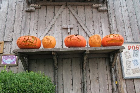 20241011_115005 null