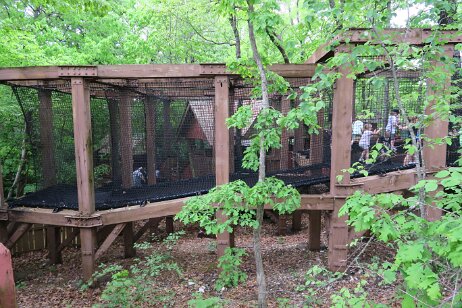 20240427_130129 null