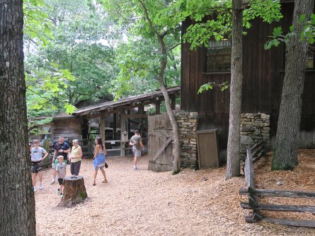 PettingZoo