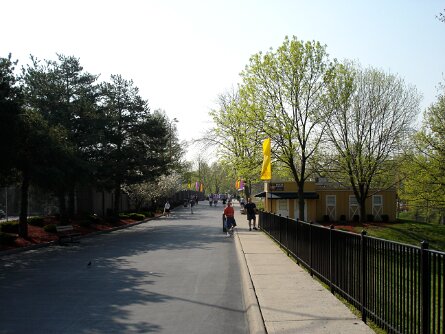 20050417_095911 null
