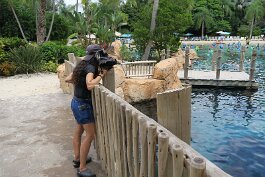 20240915_110318 null