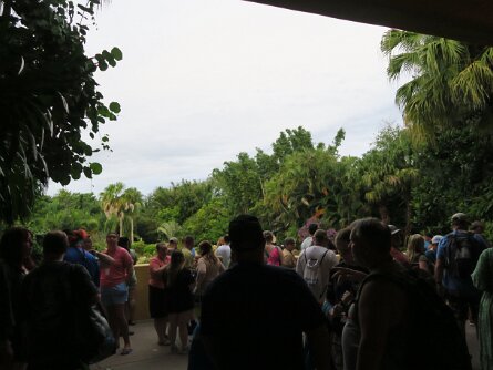 DiscoveryCove2025