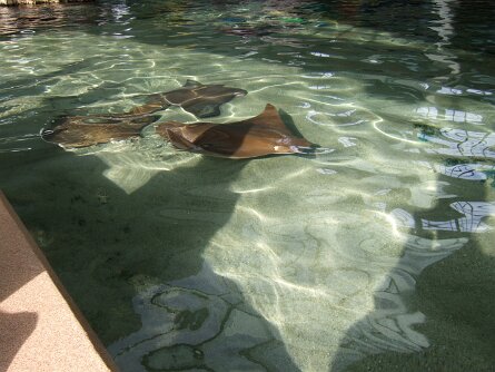 20061206_094306 null