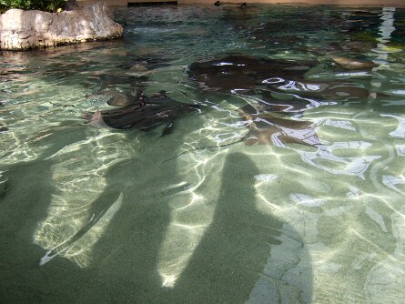 20061206_094410 null