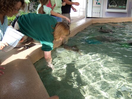 20061206_094457 null