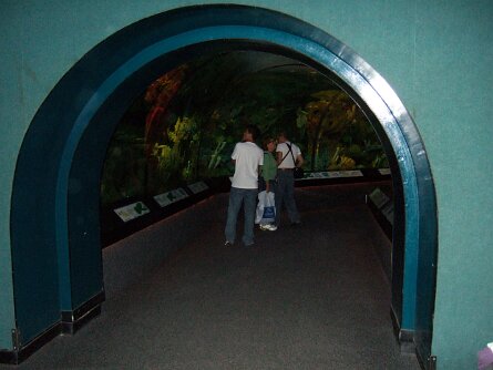 20061206_160701 null