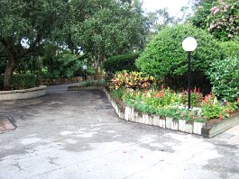 20071004_091804 null
