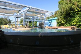 20201120_104158 null