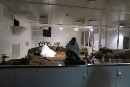 20201120_165151 null